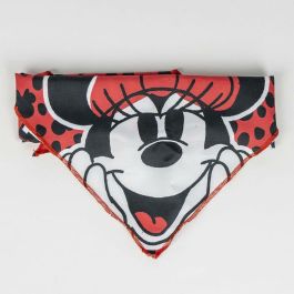 Set de Regalo de Bienvenida para Perros Minnie Mouse Rojo 28 x 30 x 6,8 cm 5 Piezas