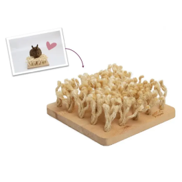 Bunny Nature Snuffleboard 24,2x9x24,2 cm 1Ud Precio: 32.49999984. SKU: B1CMMAGVFZ