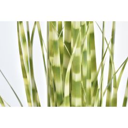 Planta DKD Home Decor Verde 30 x 90 x 30 cm (4 Unidades) Planta DKD Home Decor Verde 30 x 90 x 30 cm (4 Unidades)