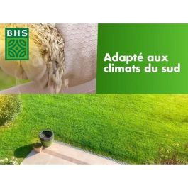BHS BHS3366671100515 Césped Rústico Sur 10 kg Resistente a condiciones secas con festuca alta, rápido y consistente