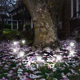 Lumisky Alesia Lote de 8 Balizas Solares LED Blanco Frío para Jardín/Camino, 8h Batería, Resistentes UV/Salpicaduras Lumisky Alesia Lote de 8 Balizas Solares LED Blanco Frío para Jardín/Camino, 8h Batería, Resistentes UV/Salpicaduras