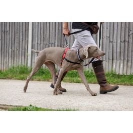 Halti Arnés de Control Delantero, ideal para Perros Medianos y Grandes, Talla L (cintura 80-120cm), Negro-Rojo