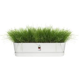 Elho ELH8711904357672 Plantera Ovalada Greenville de Plástico, 70 cm de Diámetro, Verde Hoja