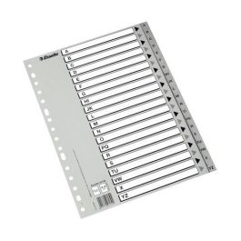 Esselte Abecedario Separador Multitaladro Polipropileno Folio Gris con Carátula Índice Cartón Blanco - Negro Precio: 3.50000002. SKU: BIX47139