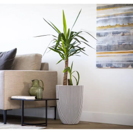 Capi Europe Florero elegante Groove 34x46 cm marfil 445498