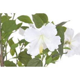 DKD Home Decor Planta Artificial Hibisco Verde Blanco 60x60x160 cm 2 Unidades Precio: 169.9324. SKU: B192ZNHG7Y