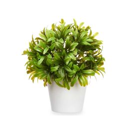 Ibergarden Planta Hojas Finas con Maceta Blanca de Plástico 17x27x17 cm (6 Unidades)