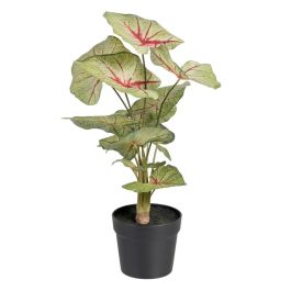 Planta Decorativa Rojo Verde PVC 40 x 35 x 55 cm Precio: 19.49999942. SKU: S8801665