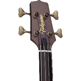 Takamine DB10 Fretless E/A F-Hole Cutaway Bajo Acústico Amplificado