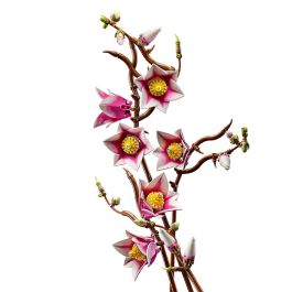 LEGO Botanicals Ramas de Magnolia 11510 - Modelo de Construcción para Adultos