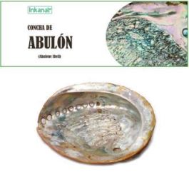 Concha De Abulon 12-14Cm 1Ud. Concha De Abulon 12-14Cm 1Ud. Precio: 9.5000004. SKU: B1EYVK7W4H