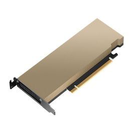 PNY L4 GPU Procesador Gráfico 24 GB GDDR6 NVIDIA