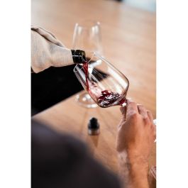 Zwilling Fresh&Save Tapón Vacío para Vino Gris Plástico/Silicona/Acero Inoxidable - Apto Lavavajillas