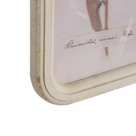 Cuadro Impresión Flores 4/M Dm-Cristal 25 X 2 X 50 cm