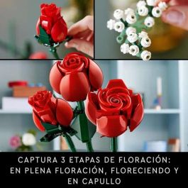Lego Botanical Collection Ramo Rosas Lego Botanical Collection Ramo Rosas