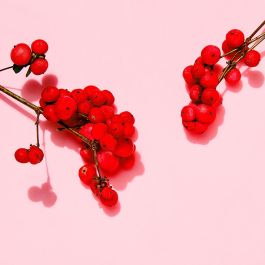 Jowae WRINKLE SMOOTHING eye serum Contorno de Ojos Antiarrugas 15 ml