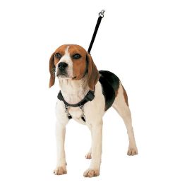 Arnés para Perro Gloria 30-42 cm Talla M Precio: 14.49999991. SKU: S6103715