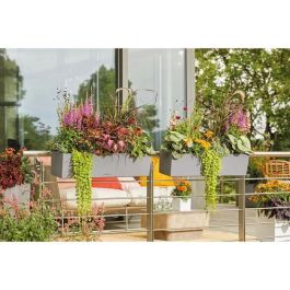 Lechuza LEC4008789156600 Jardinera Balconera Kit Completo Gris Piedra 80 cm 12 L