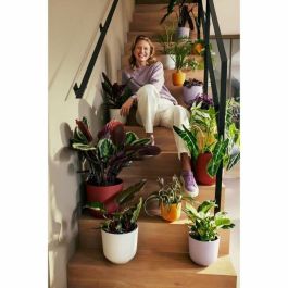 Elho ELH2942402645100 Maceta Jazz Redonda Blanca Ø 26x24 cm Interior 100% Reciclada