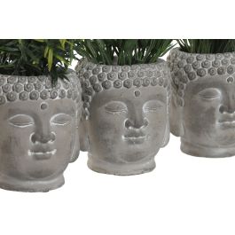 Planta DKD Home Decor Gris Verde 10 x 21 x 10 cm (12 Unidades)