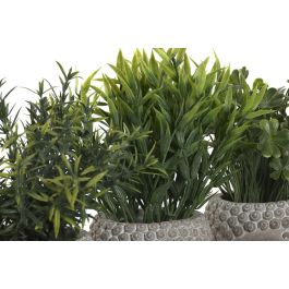 Planta DKD Home Decor Gris Verde 10 x 21 x 10 cm (12 Unidades)