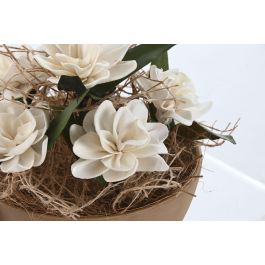 Planta Shabby DKD Home Decor Blanco Marron 22 x 14 x 22 cm (10 Unidades)