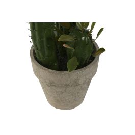 Planta Tropical DKD Home Decor Verde 12 x 28 x 10 cm (6 Unidades)