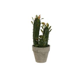 Planta Tropical DKD Home Decor Verde 12 x 28 x 10 cm (6 Unidades) Precio: 114.49999979. SKU: B178F3C4Y8