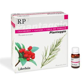Plantaggio Rp Precio: 24.4999997. SKU: B1F9WPJ6WS
