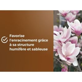 Tierra especial para macetas de brezo - OR BRUN - OBRTBRU6U - 6L - Mejor enraizamiento Tierra especial para macetas de brezo - OR BRUN - OBRTBRU6U - 6L - Mejor enraizamiento