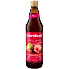 RABENHORST Zumo Multifrutas Well-Being con Hibisco, Hierro y Vitaminas para Vitalidad y Energía 750ml Precio: 6.5899999. SKU: B1F29MYEMG