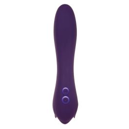 Vibrador Evolved Morado