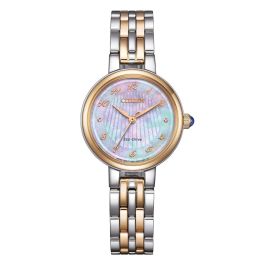 Reloj Hombre Citizen EM0996-84Y