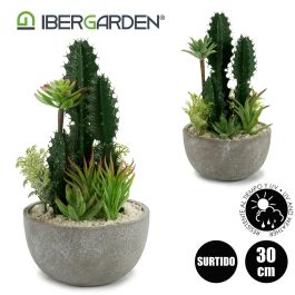 Ibergarden Centro Cactus Redondo Surtido 15.5x15.5x29 cm Plastico Ceramica