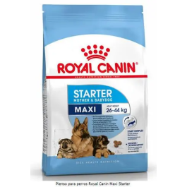 Royal Canin Starter Maxi pienso para perros 15 kg Precio: 105.7899997. SKU: B1JR5XLEG9