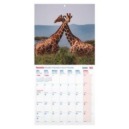 Calendario (2026) Dohe Pared Imagenes Mensual Para Escribir 300X300 Fauna Salvaje Calendario (2026) Dohe Pared Imagenes Mensual Para Escribir 300X300 Fauna Salvaje Precio: 10.50000006. SKU: B17GPBWZBC