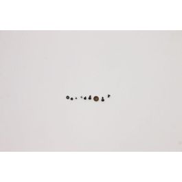 Lenovo Screw kit for Lenovo devices, includes CH1 screws, compatible with Extreme P1, P1 4, X1 5 models. Lenovo Screw kit for Lenovo devices, includes CH1 screws, compatible with Extreme P1, P1 4, X1 5 models.