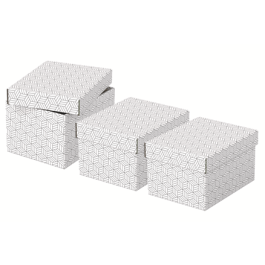 Esselte Caja de Almacenamiento Blanca 628280 Pack 3 Cajas 255x200x150mm