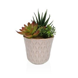 Planta Decorativa Versa Cerámica Plástico Fusion Suculenta 7,8 X 14 X 7,8 CM Precio: 4.99000007. SKU: B1D23RFS84
