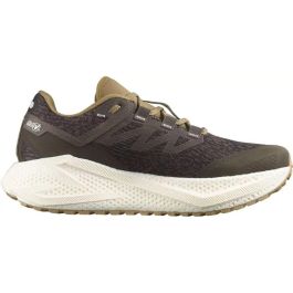 Zapatillas de Running para Adultos Salomon Aero Glide 3 Grvl Marrón S Precio: 139.94999997. SKU: B1DD5GGJK5