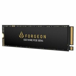 Disco Duro Forgeon 1 TB SSD