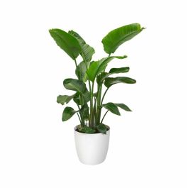 Elho 5643504015041 Juego 2 Maceteros Redondos Bruselas con Ruedas Ø35xH33cm y Ø39xH36.5cm, 55L, Blanco