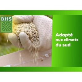 Césped - BHS - Césped Rústico Sur - 1kg, 40 m². Resistente a condiciones secas gracias a la festuca alta. Rápido y consistente. Césped - BHS - Césped Rústico Sur - 1kg, 40 m². Resistente a condiciones secas gracias a la festuca alta. Rápido y consistente.