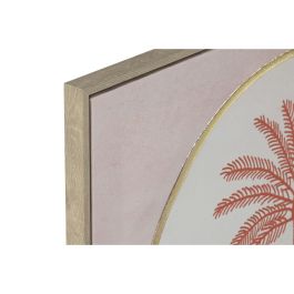 Cuadro Colonial DKD Home Decor Coral Beige 2.5 x 60 x 60 cm (2 Unidades)