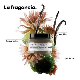 Mascarilla Capilar L'Oreal Professionnel Paris ABSOLUT REPAIR MOLECULAR