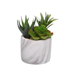 Planta Decorativa Versa Cerámica Plástico Fusion Suculenta 9 x 15 x 9 cm