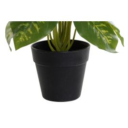 DKD Home Decor Planta Artificial Diefembaquia Decoración para Hogar u Oficina, Colores Verde y Negro, Dimensiones 20x20x30 cm, Fabricada en PVC y PP