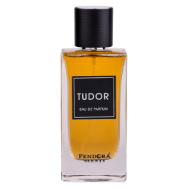 Tudor, Agua de perfume, Para hombres, 100 ml Precio: 19.49999942. SKU: B12FMGAM39