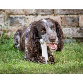 Nylabone Extreme Chew Juguete Masticable de Nylon Duradero para Perros Potentes Sabor Pollo Talla M con Limpieza Dental