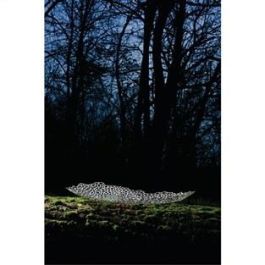 Alessi GV32 Centro de Mesa Acero Inoxidable 18/10 Guido Venturini